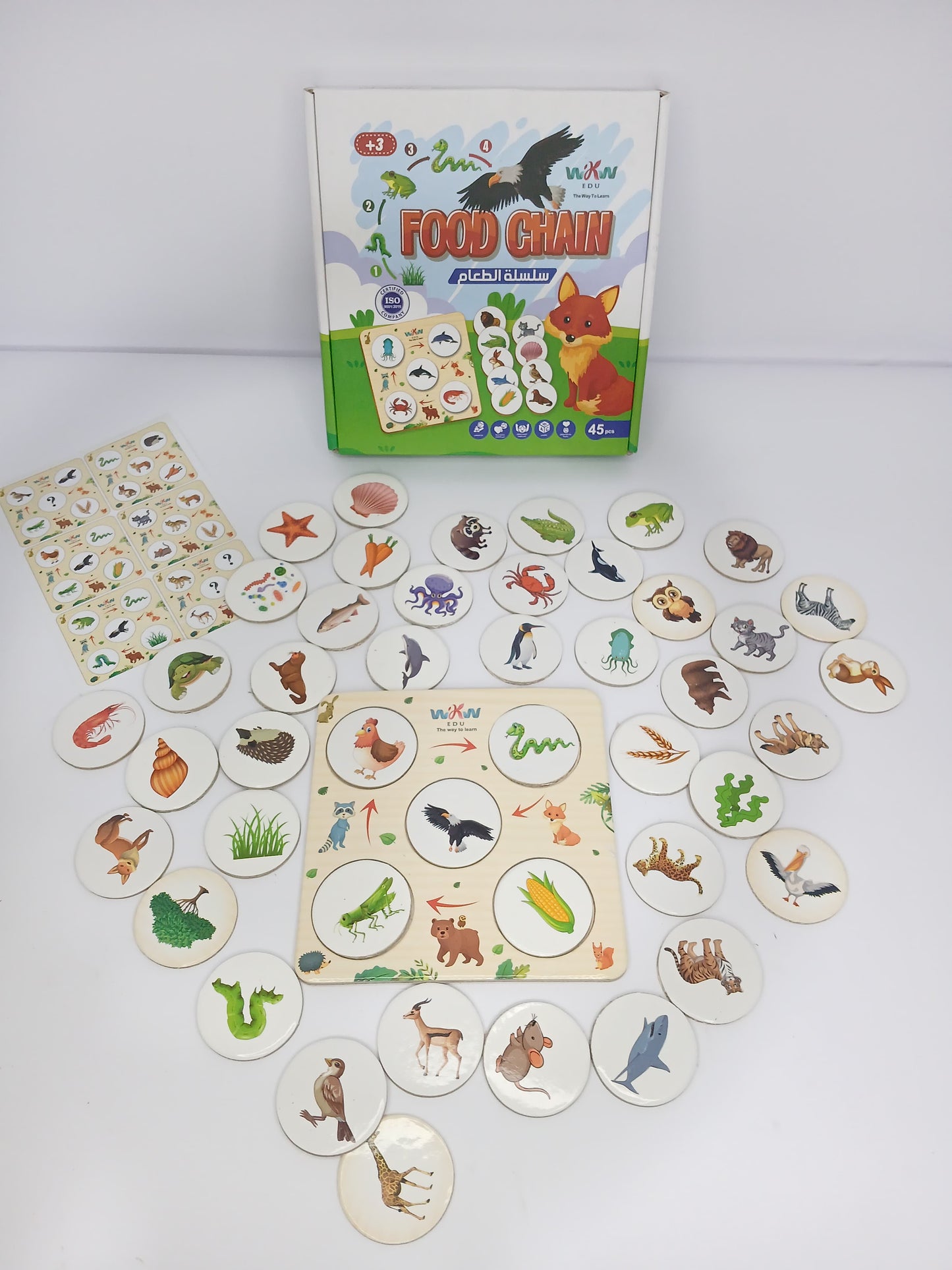 سلسلة الطعام