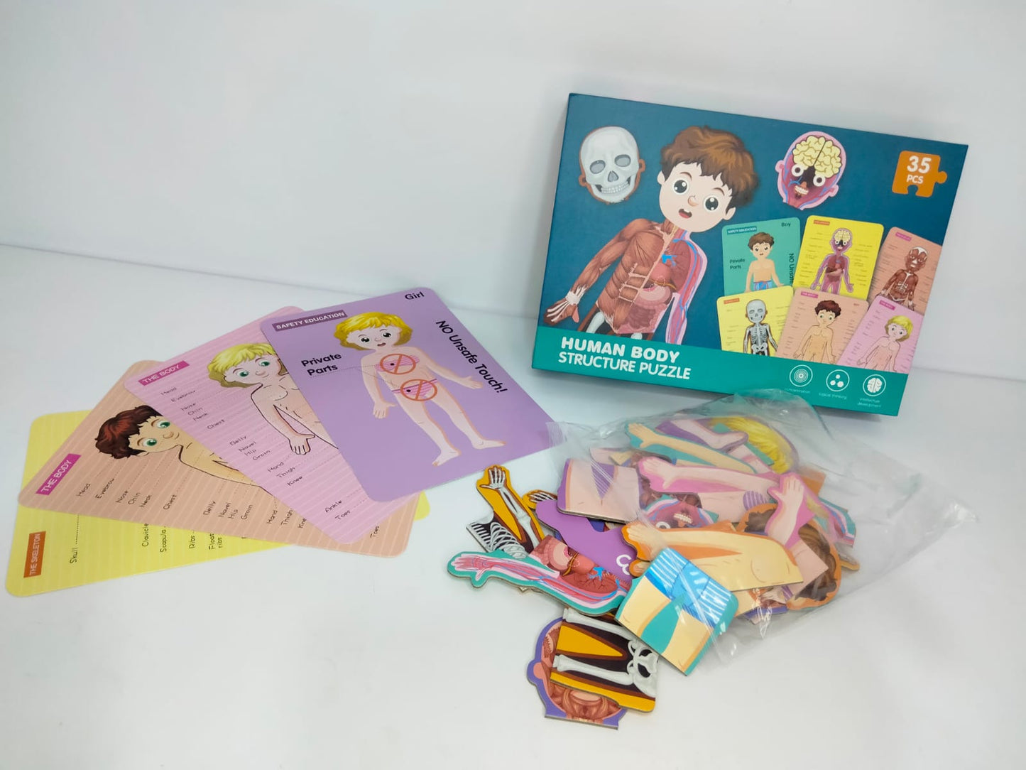 بازل جسم الانسان ولد