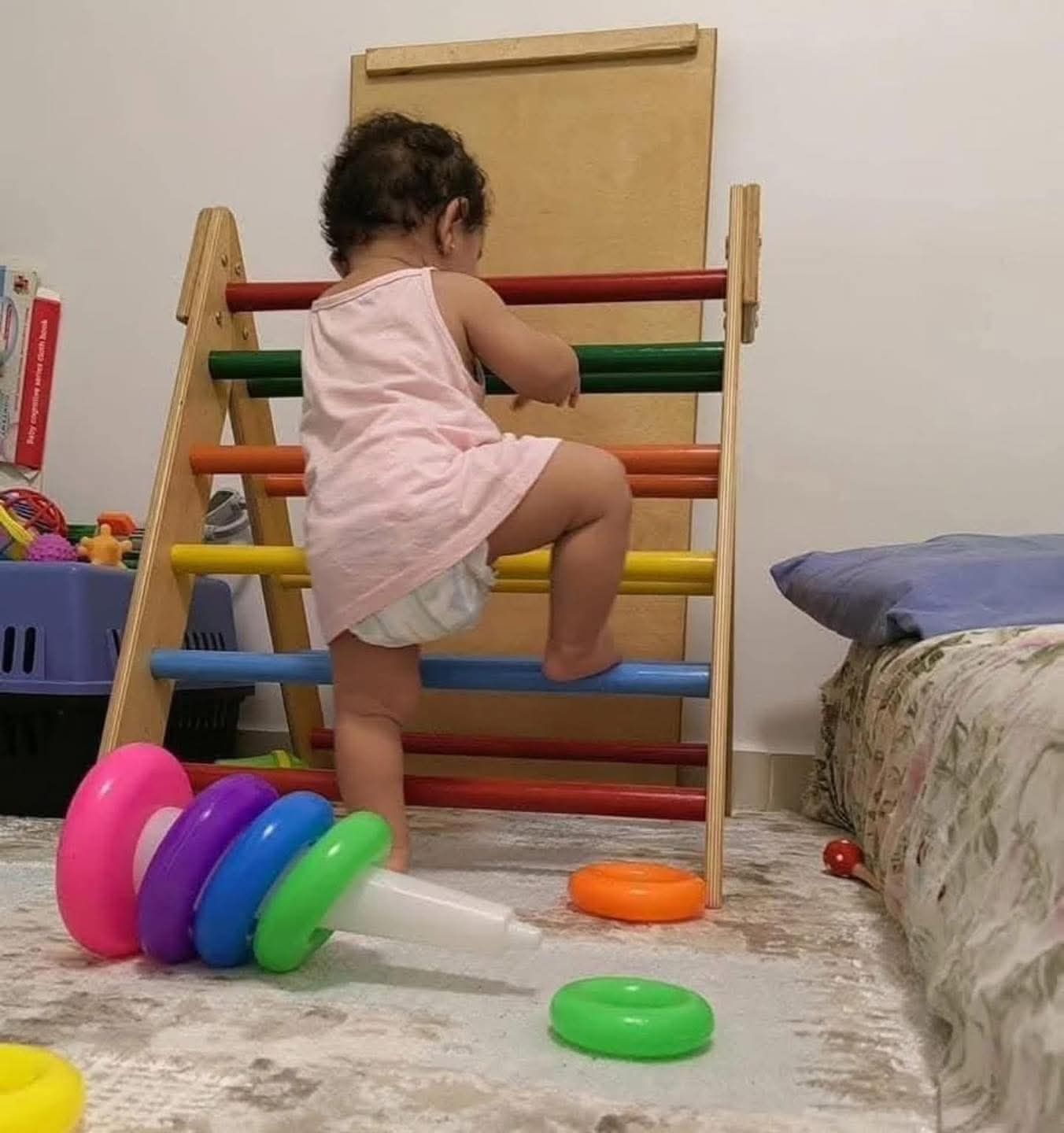 Climbing ladder