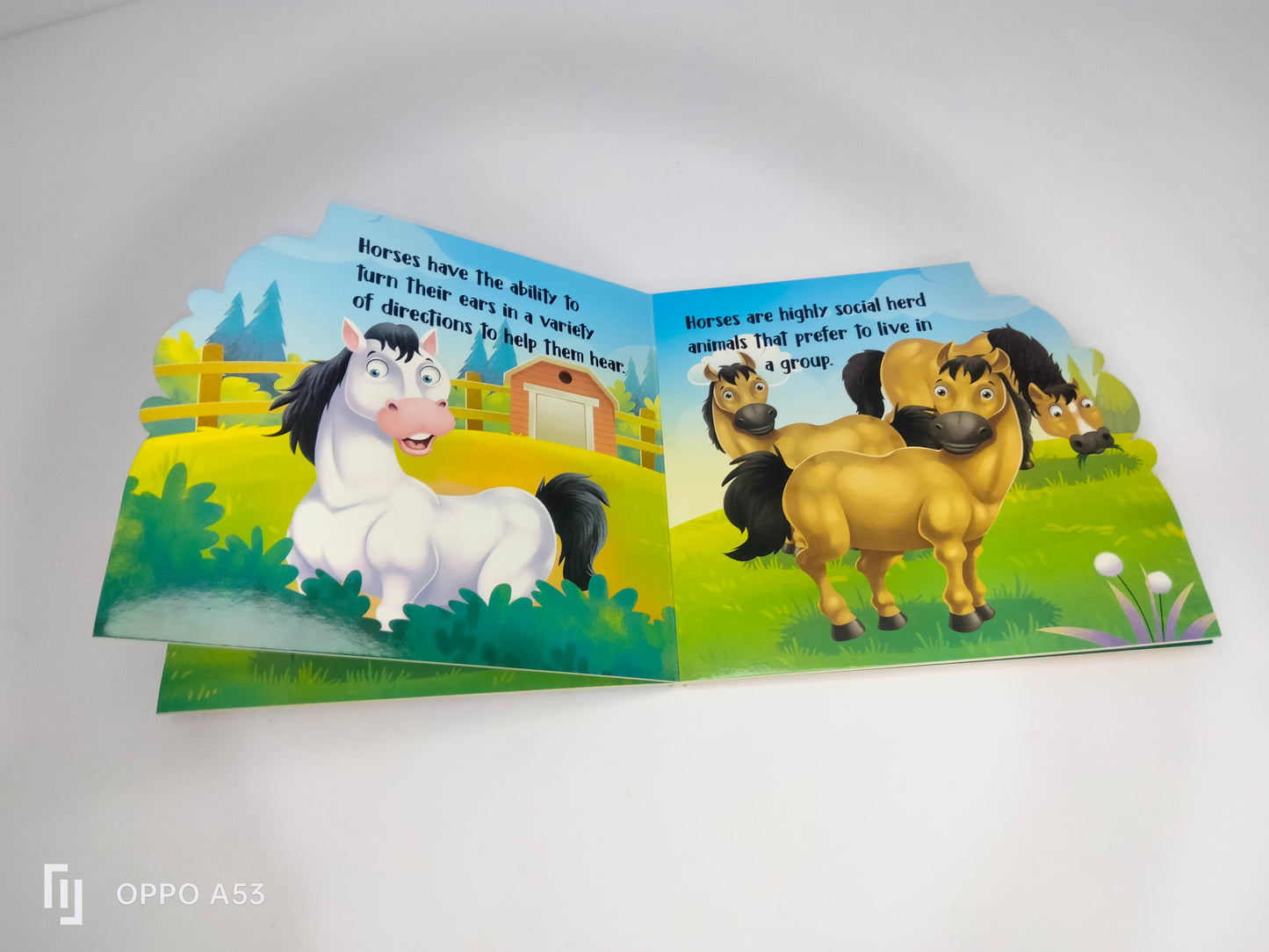 my First sheapd books hours