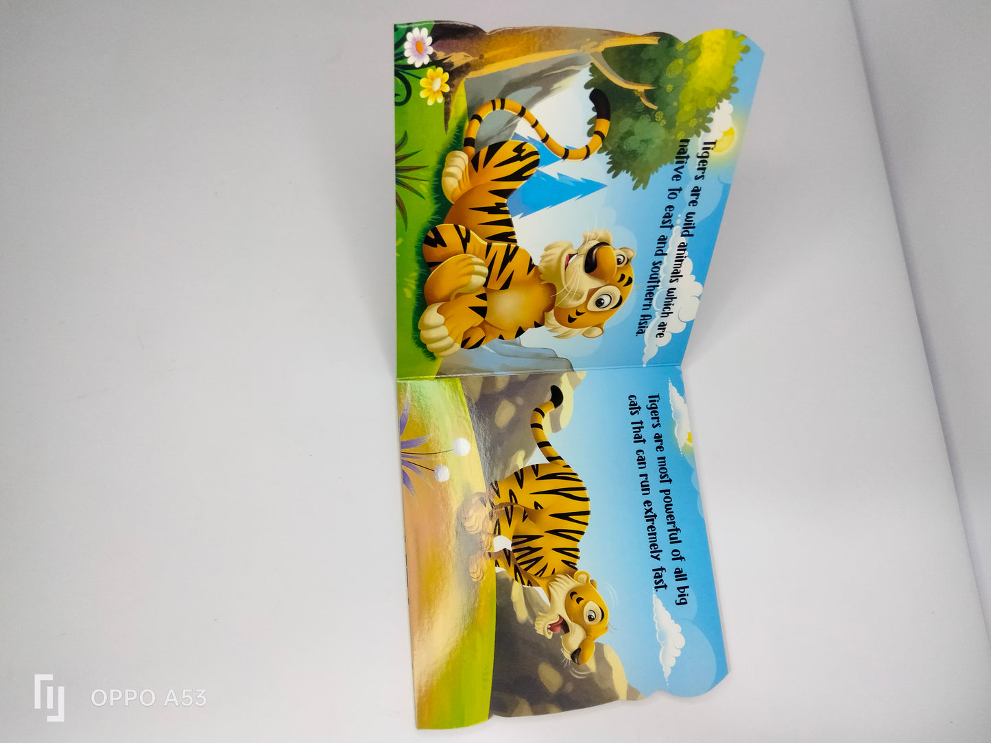 my First sheapd books tiger
