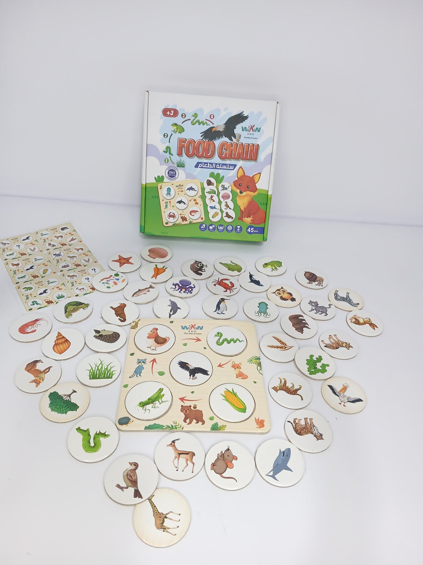 سلسلة الطعام