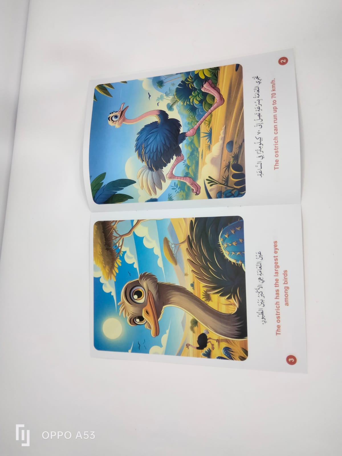 قصص صورة ومعلومة