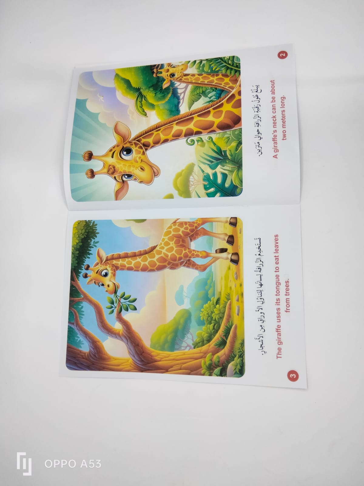 قصص صورة ومعلومة