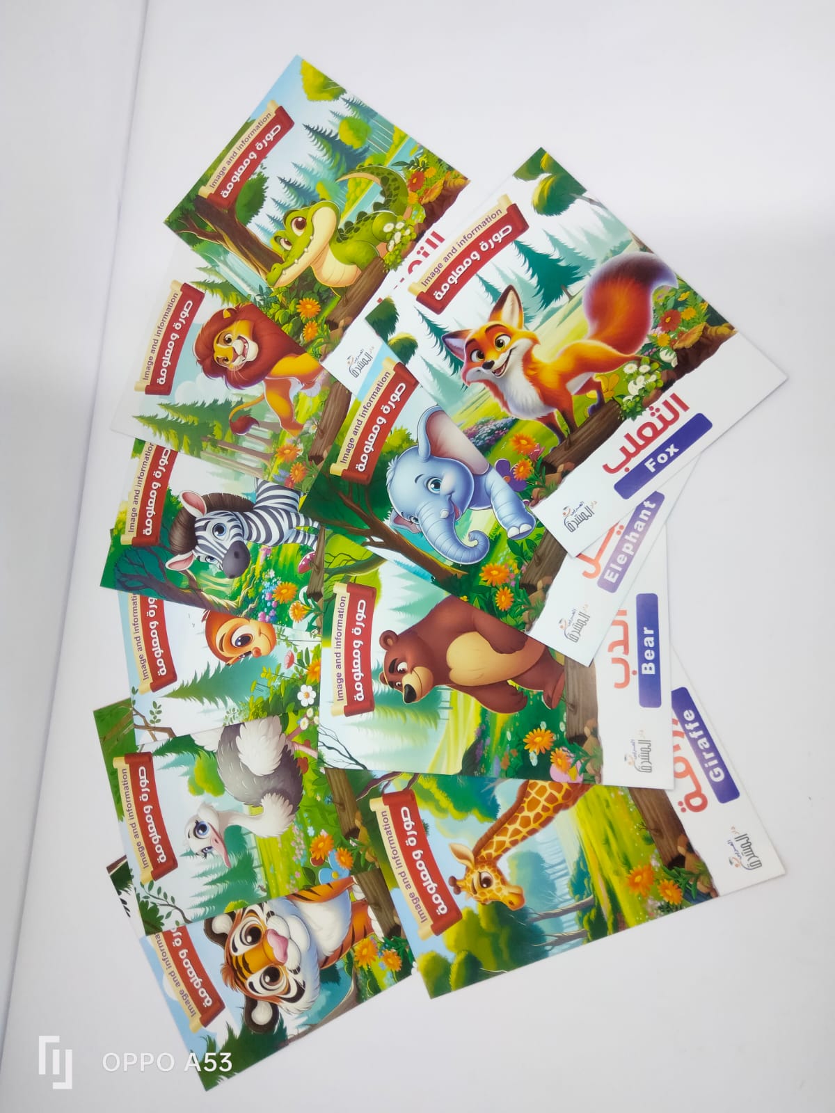 قصص صورة ومعلومة