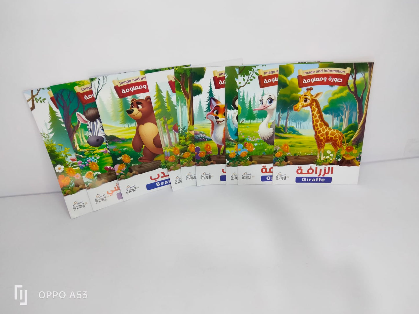 قصص صورة ومعلومة