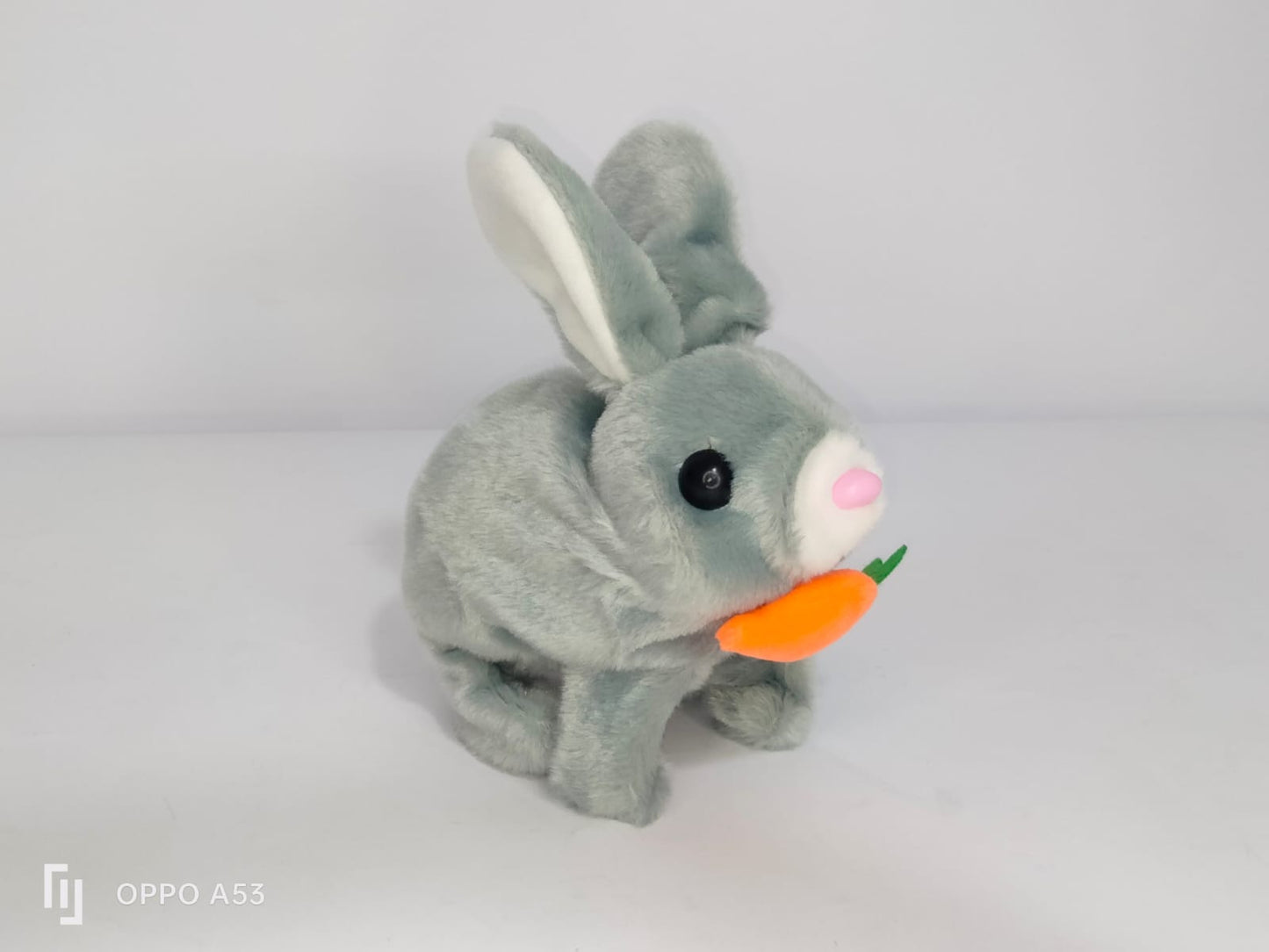 أرنوب المتحرك