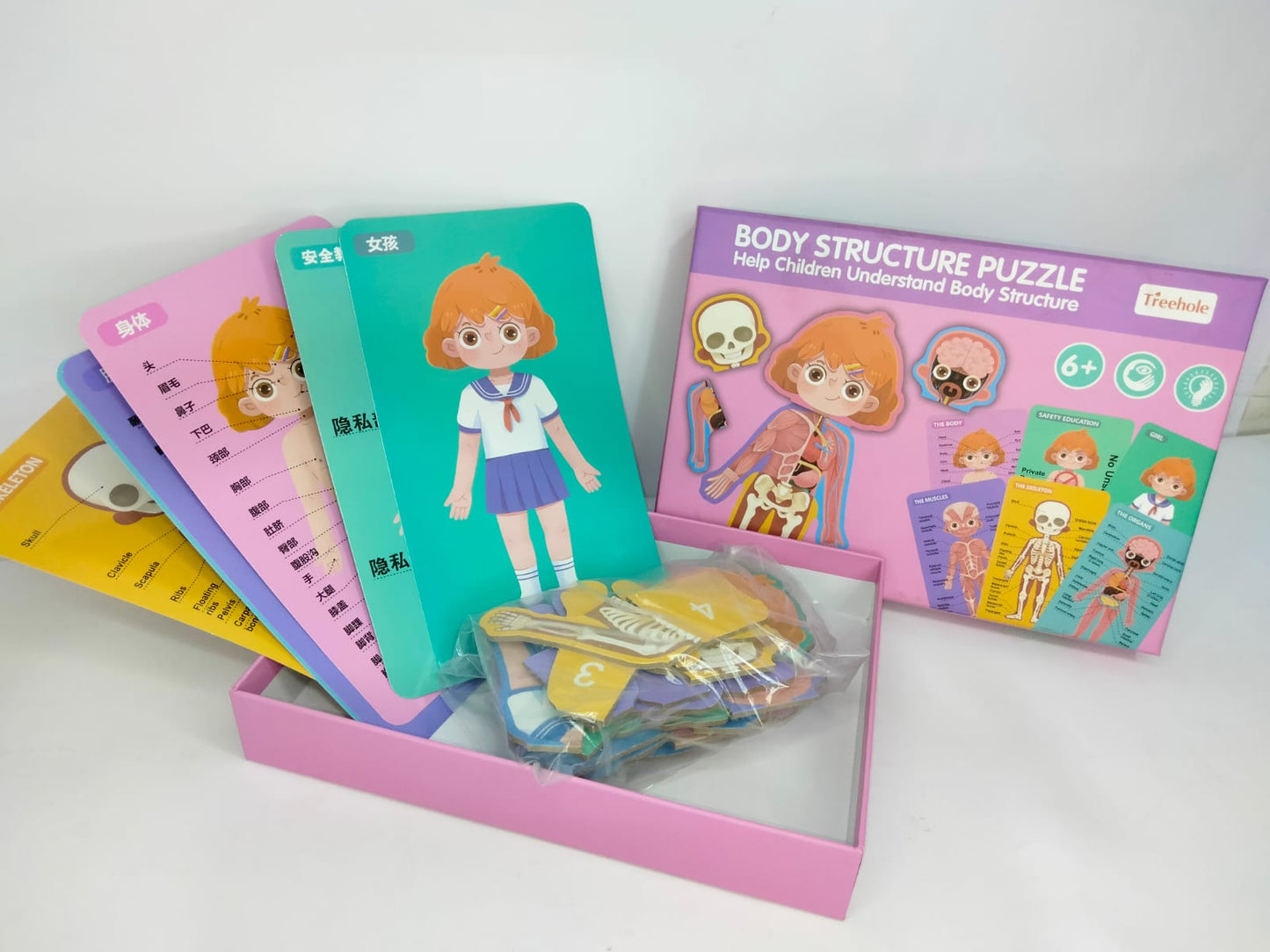 بازل جسم الانسان بنت