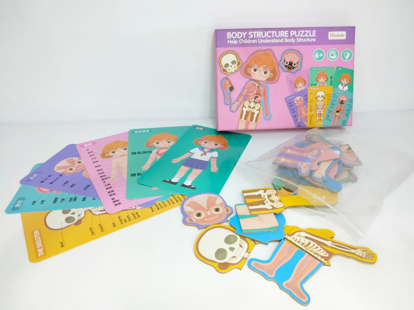 بازل جسم الانسان بنت