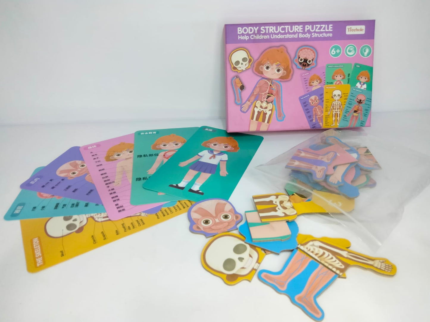 بازل جسم الانسان بنت