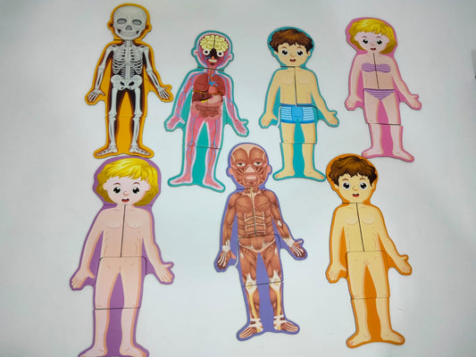 بازل جسم الانسان ولد