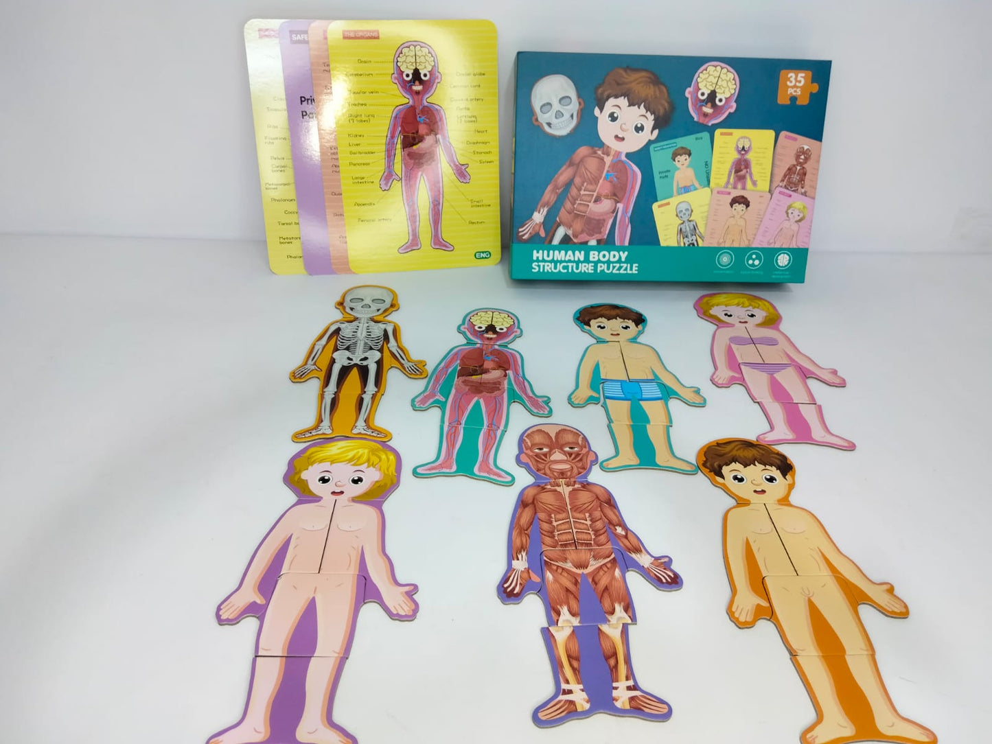 بازل جسم الانسان ولد