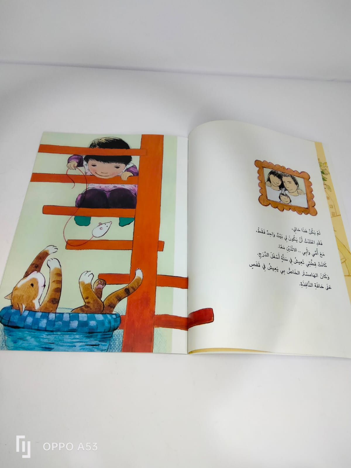 قصة اعيش في بيتين