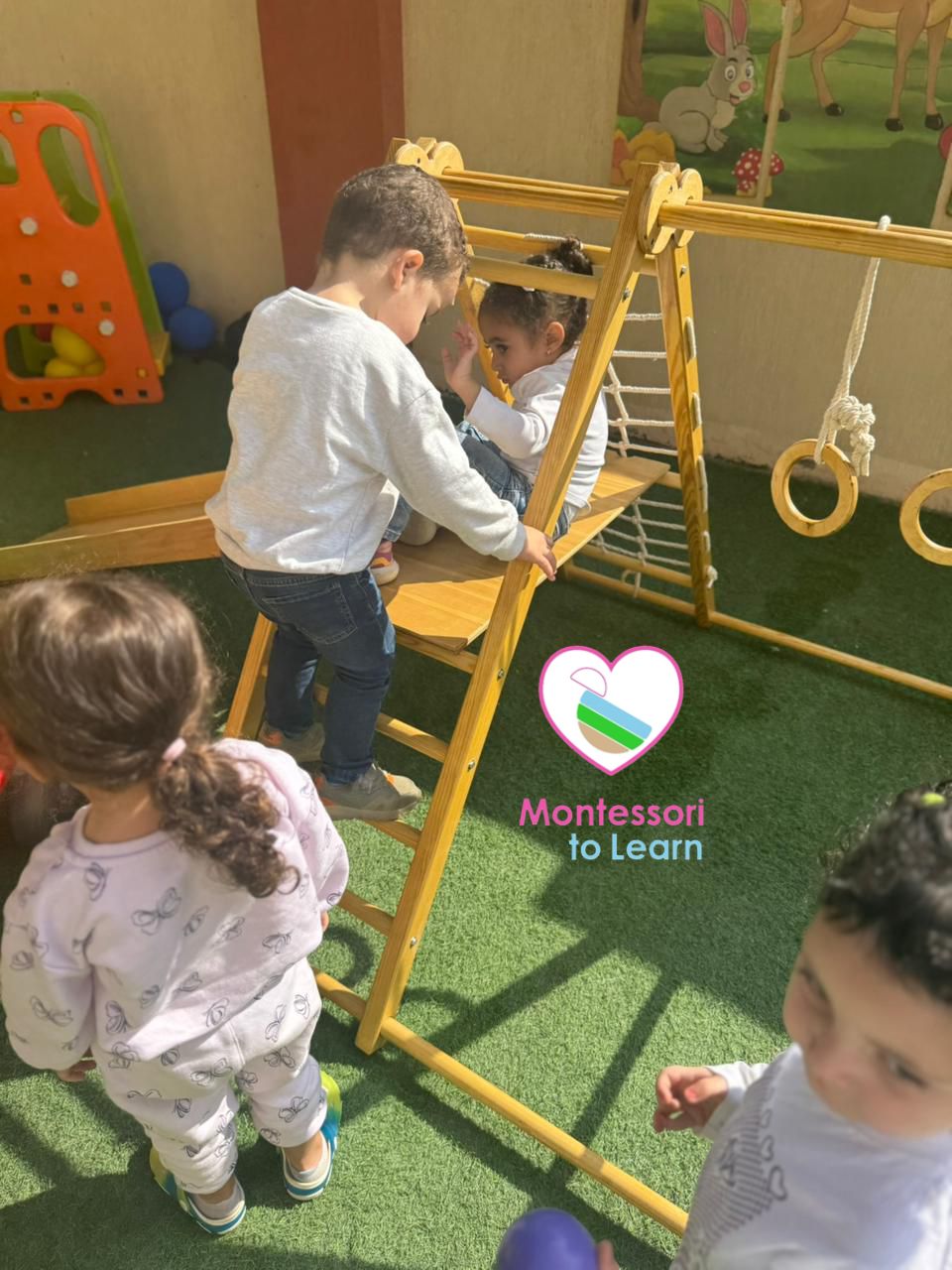 INDOOR & OUTDOOR PLAY GYM