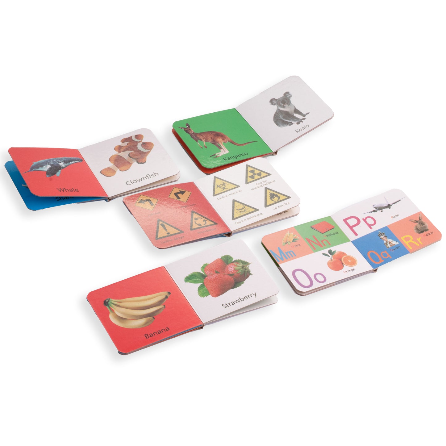 معارفي الأولي انجليزي