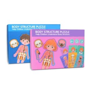 بازل جسم الانسان بنت