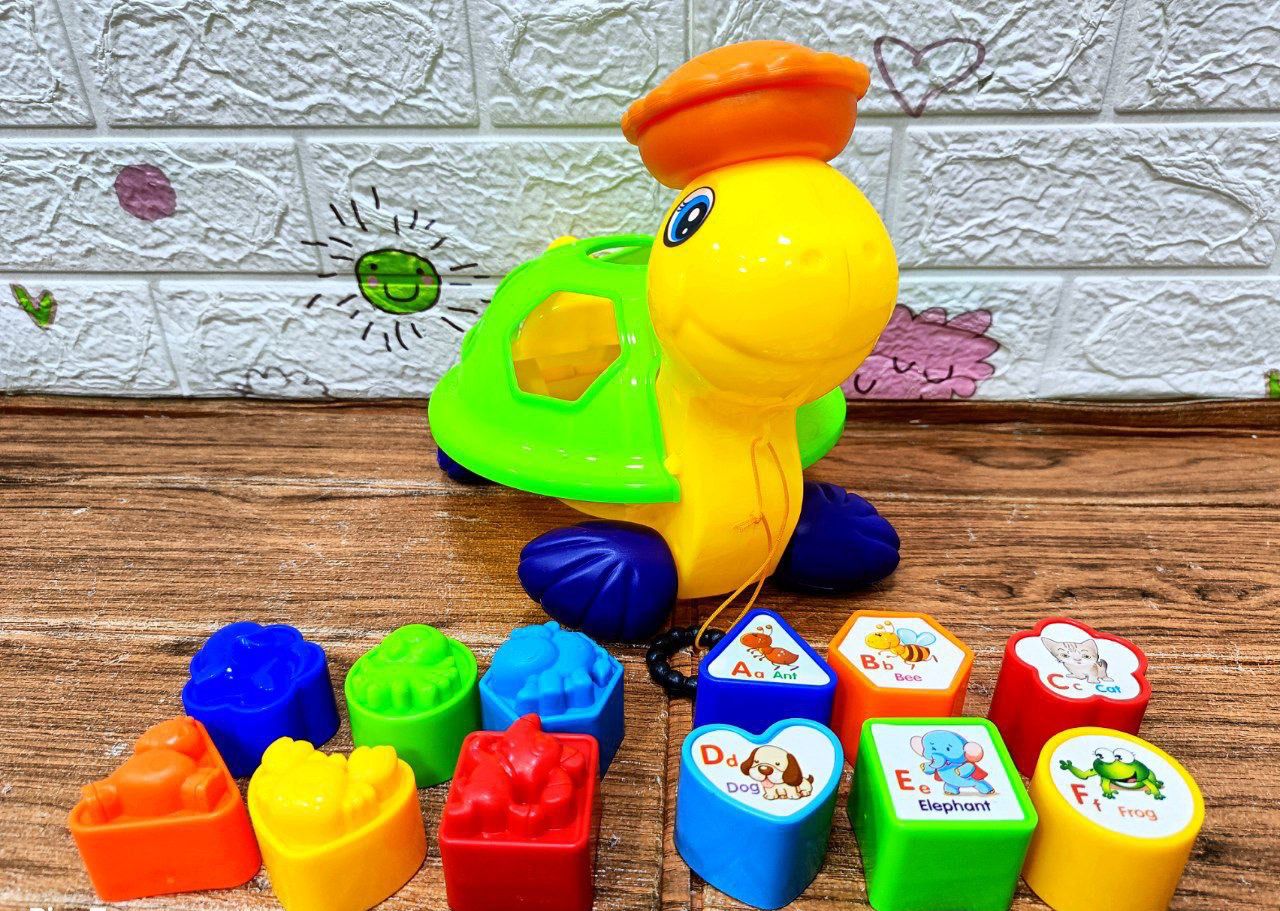 🌟 لعبة السلحفاة التعليمية🌸