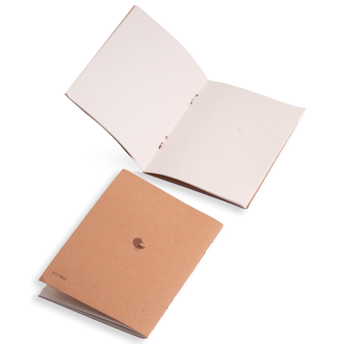 بروجيكتور رسم اسد