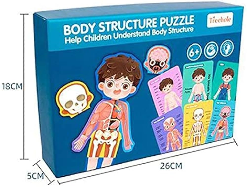 بازل جسم الانسان ولد