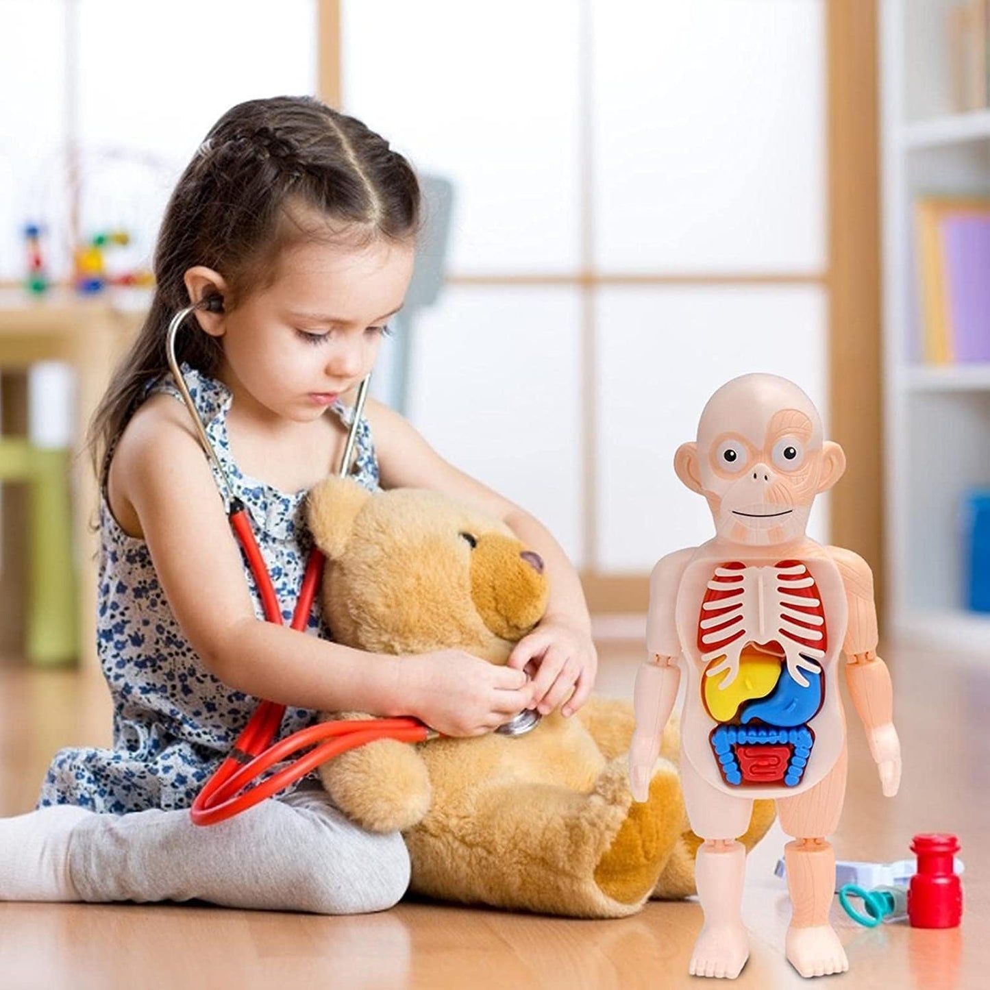 لعبة تشريح جسم الإنسان التعليمية للأطفال