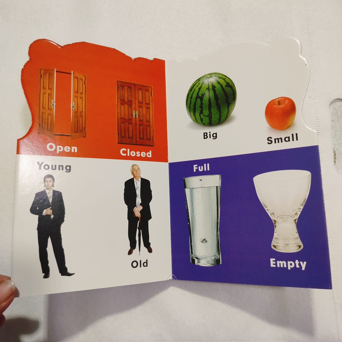 from a to z OPPOSITES book