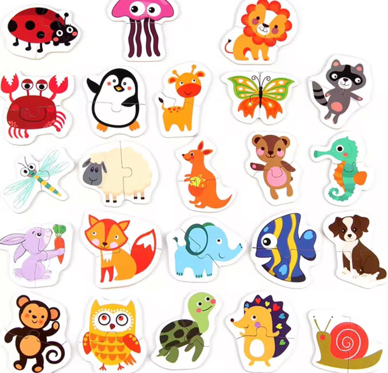 بازل فى علبه معدن 24 شكل