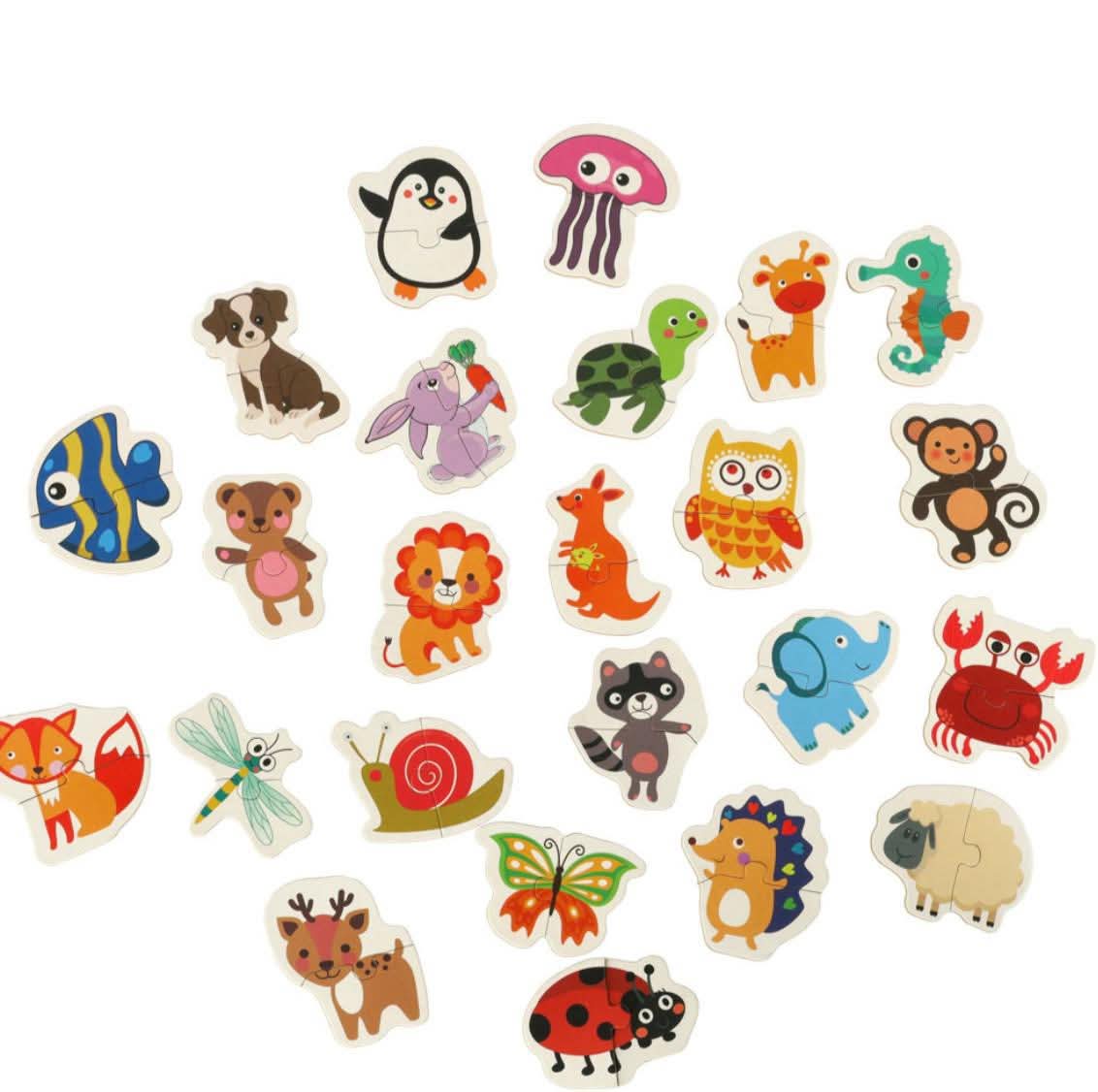 بازل فى علبه معدن 24 شكل