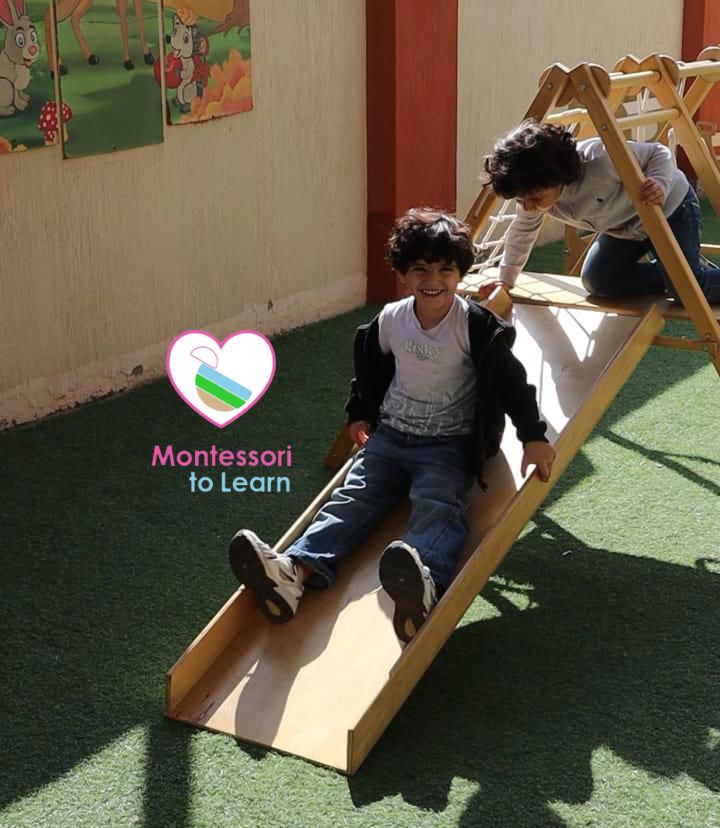 INDOOR & OUTDOOR PLAY GYM