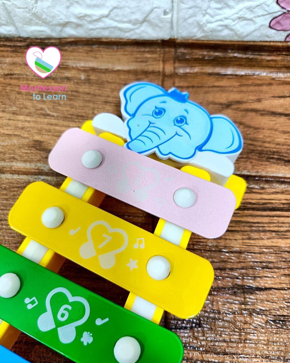 🌸اكسليفون كبير🌸