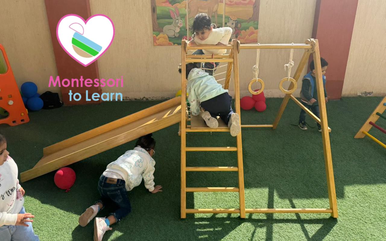 INDOOR & OUTDOOR PLAY GYM