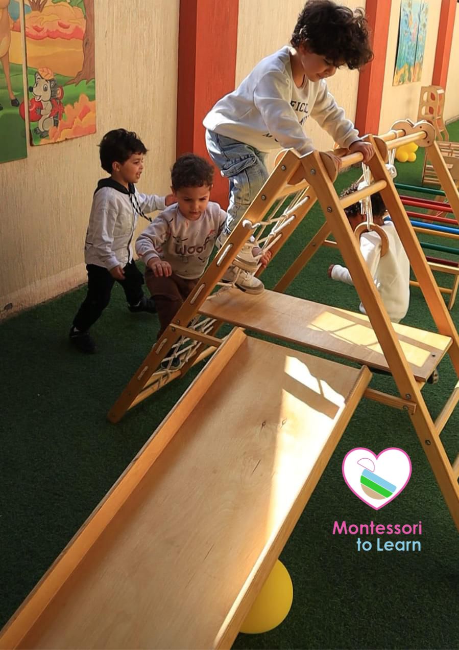 INDOOR & OUTDOOR PLAY GYM