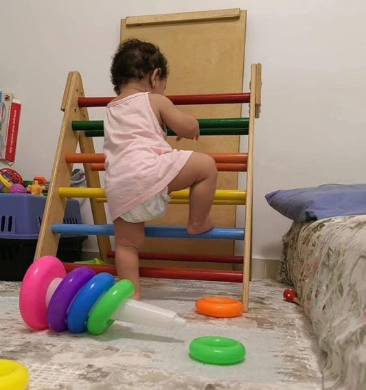 Climbing ladder