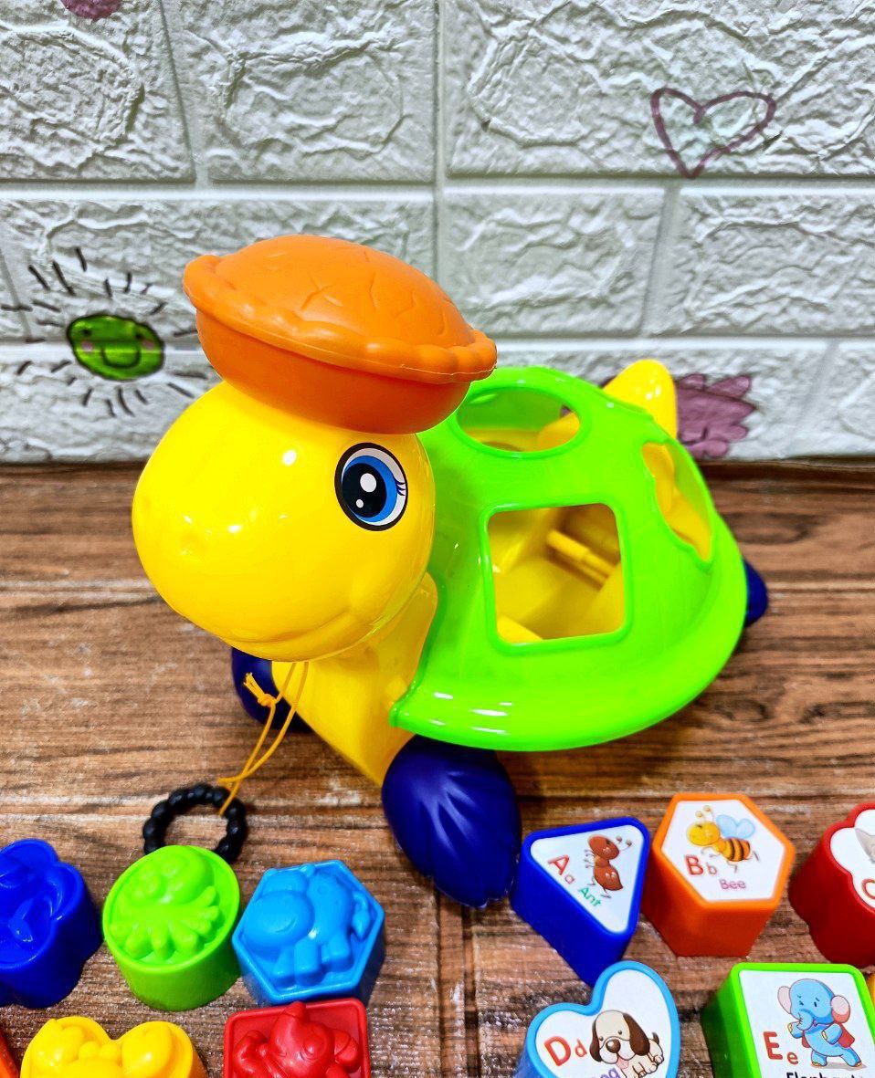 🌟 لعبة السلحفاة التعليمية🌸