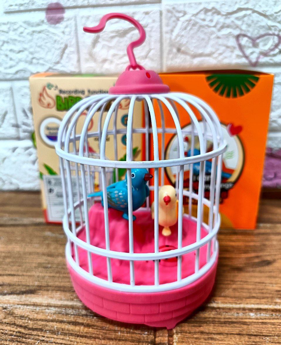 🌸قفص العصفوره شحن🌸