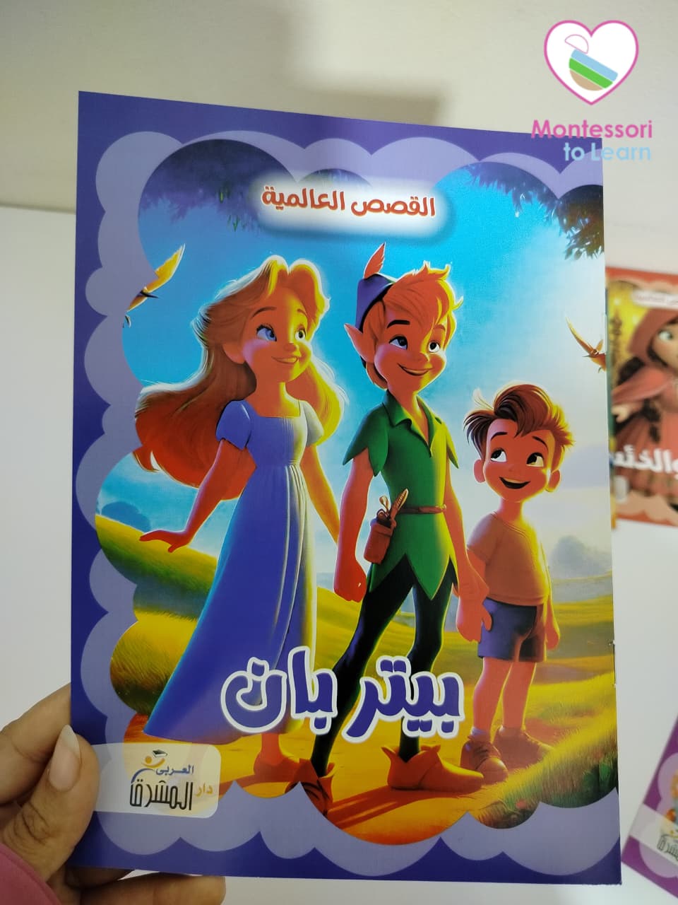 سلسله قصص ديزني العالمية