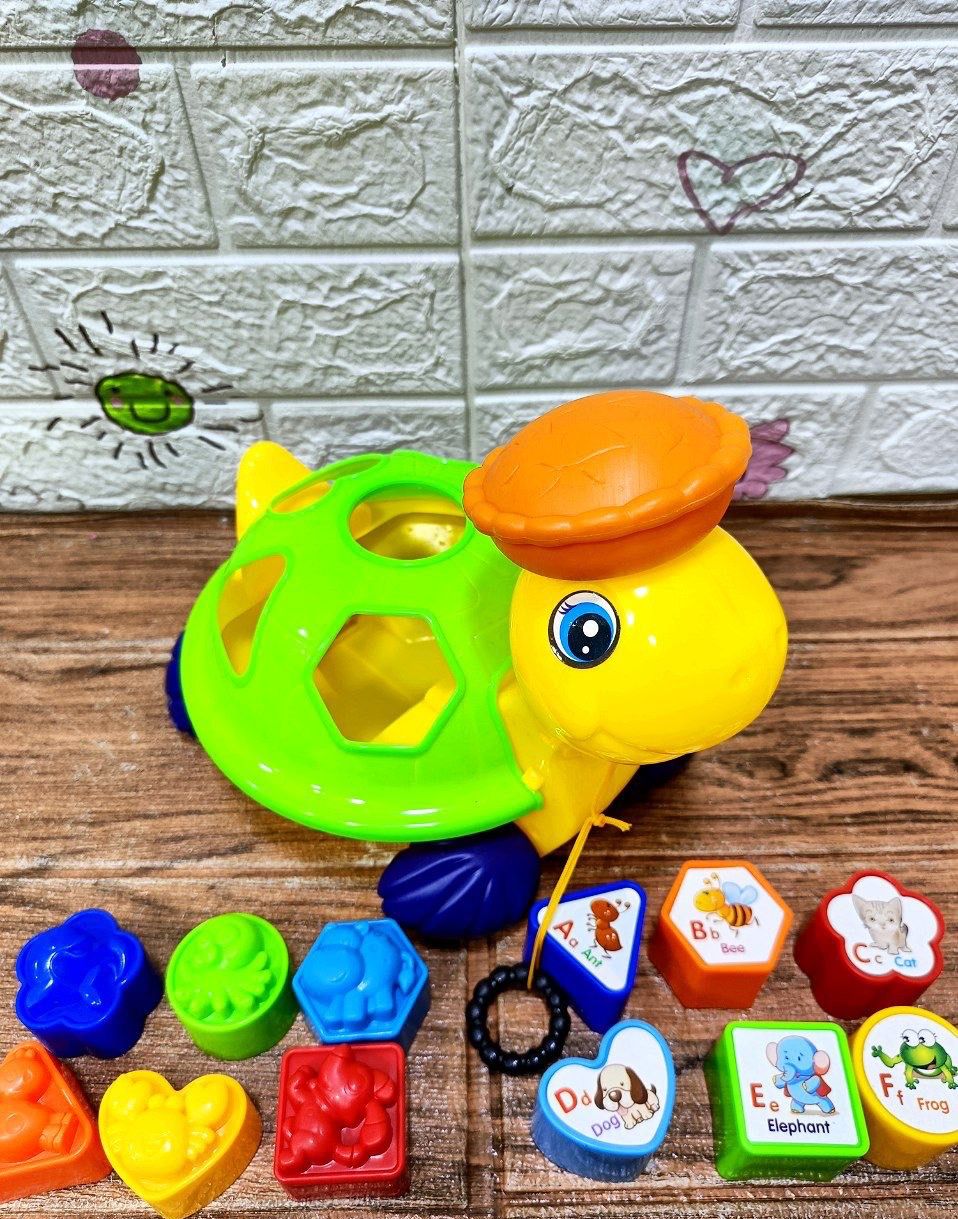 🌟 لعبة السلحفاة التعليمية🌸