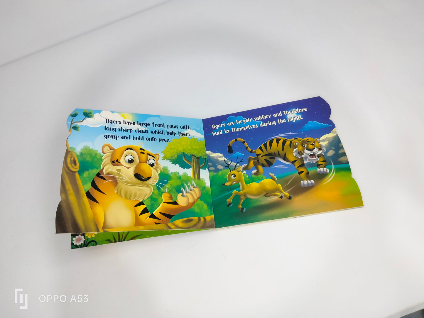 my First sheapd books tiger