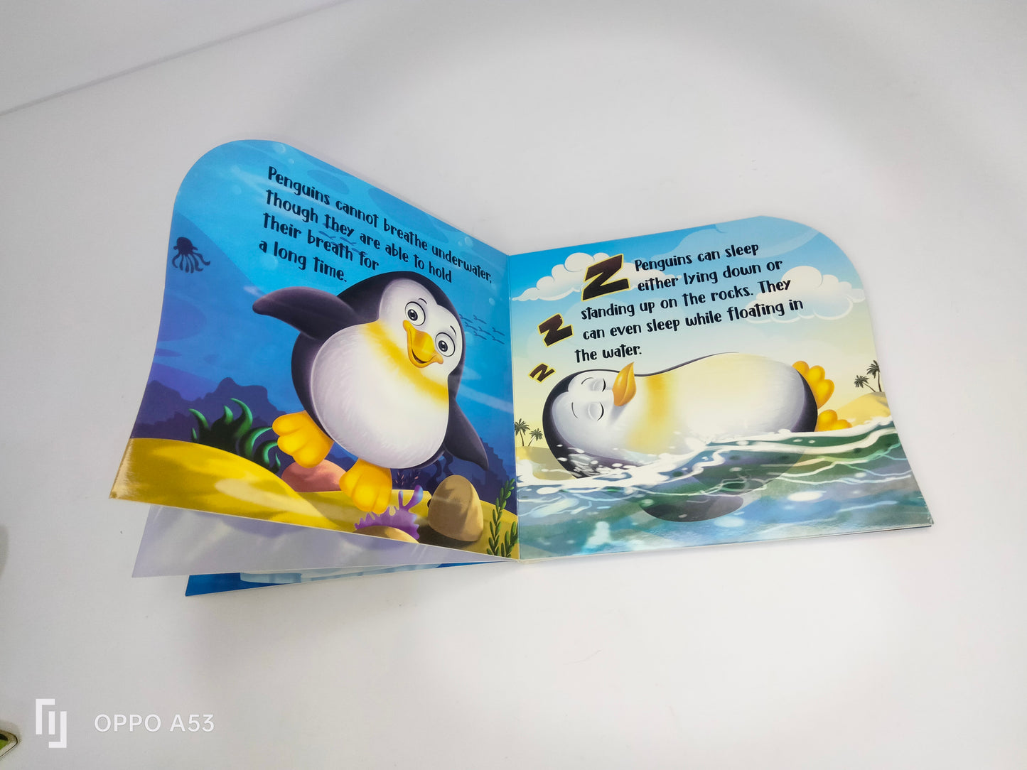 my First sheapd books penguin