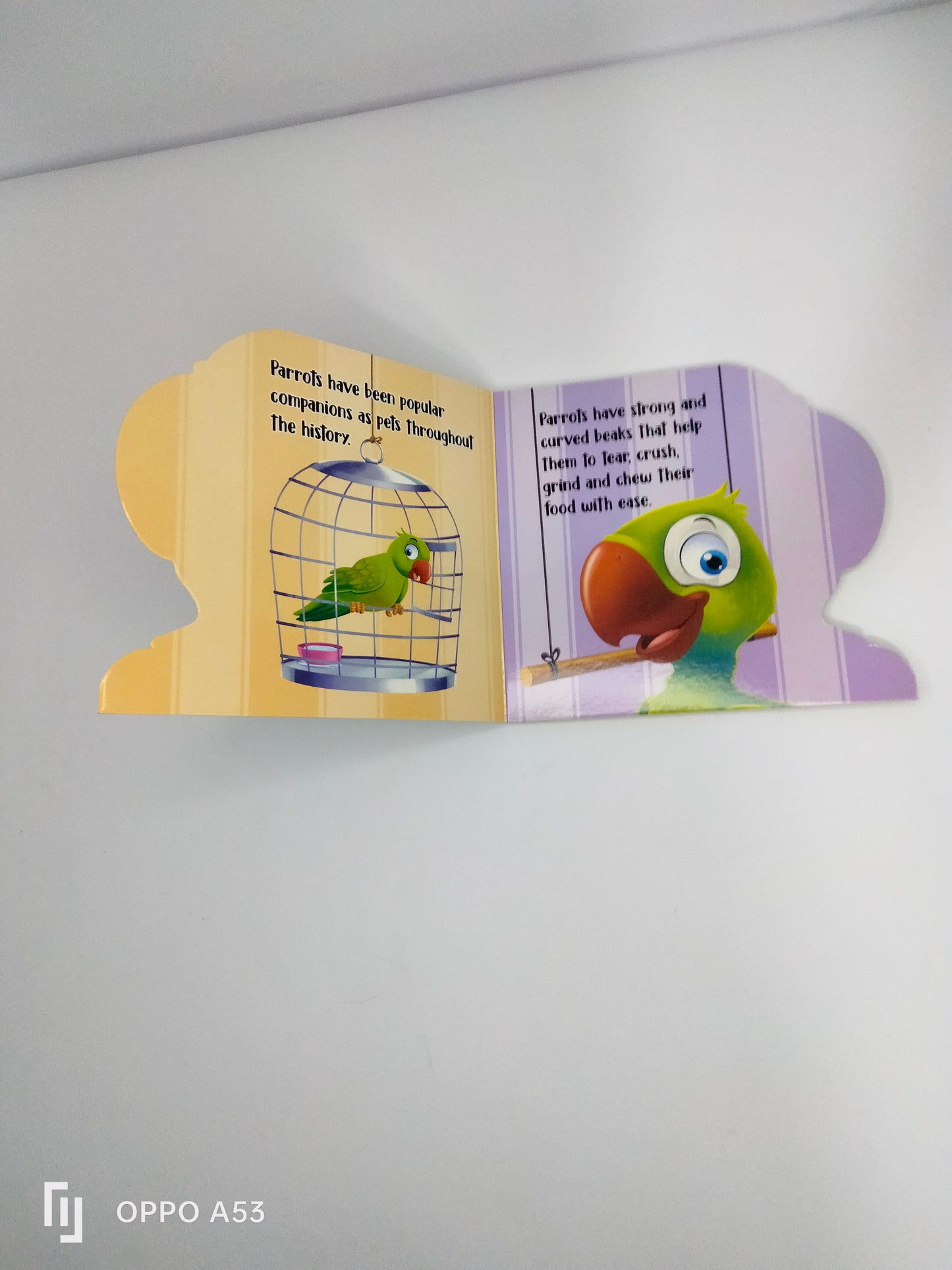 my First sheapd books parrot