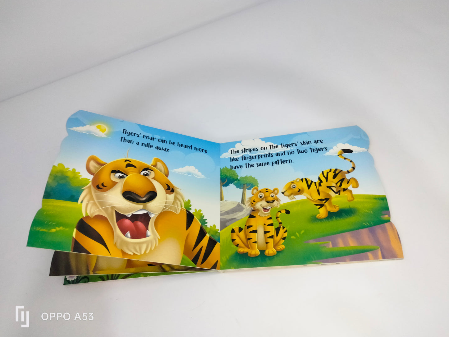 my First sheapd books tiger