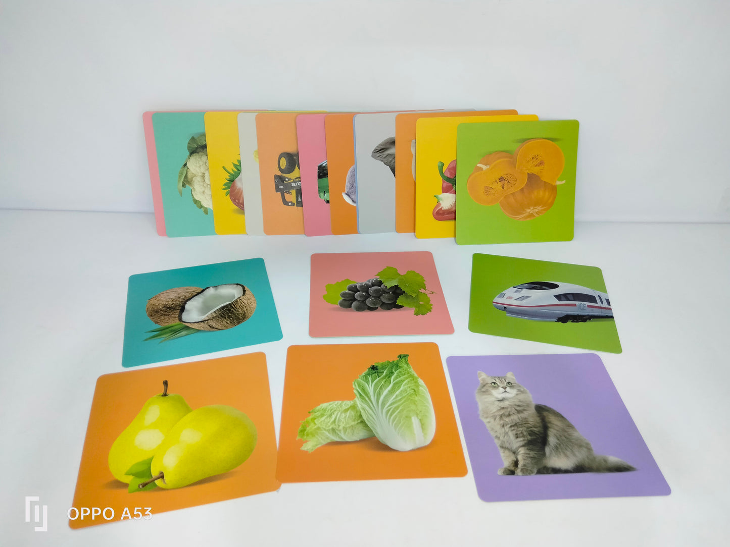 كروت بيبي فيجن من 12 ل 36 شهر