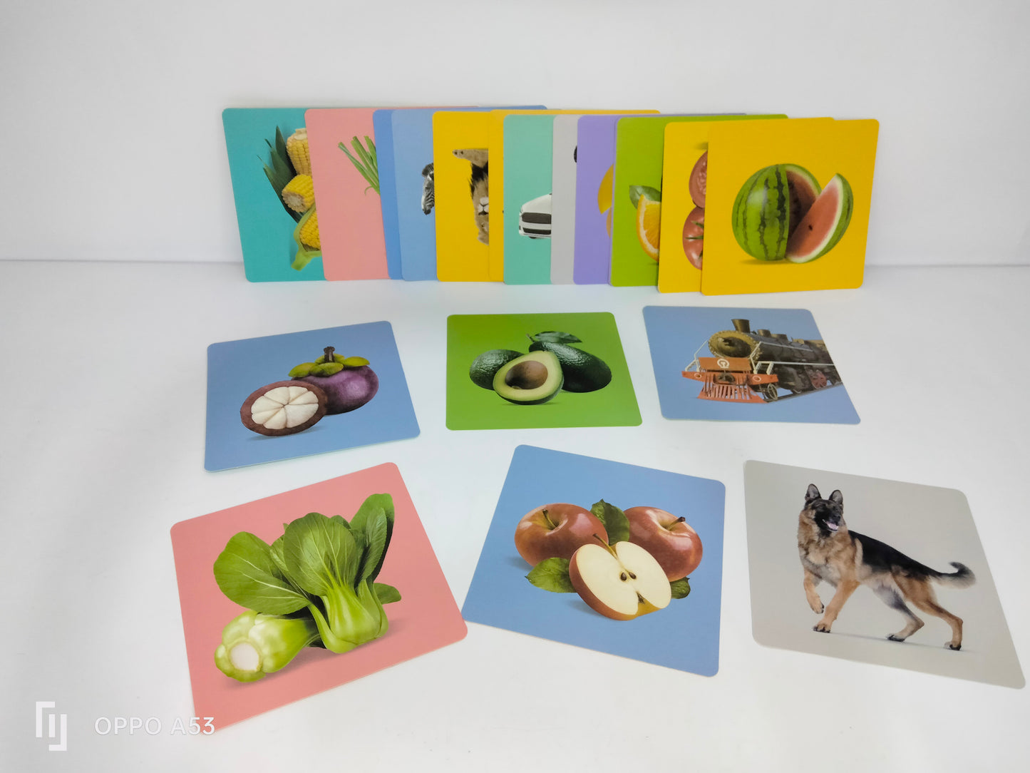 كروت بيبي فيجن من 12 ل 36 شهر