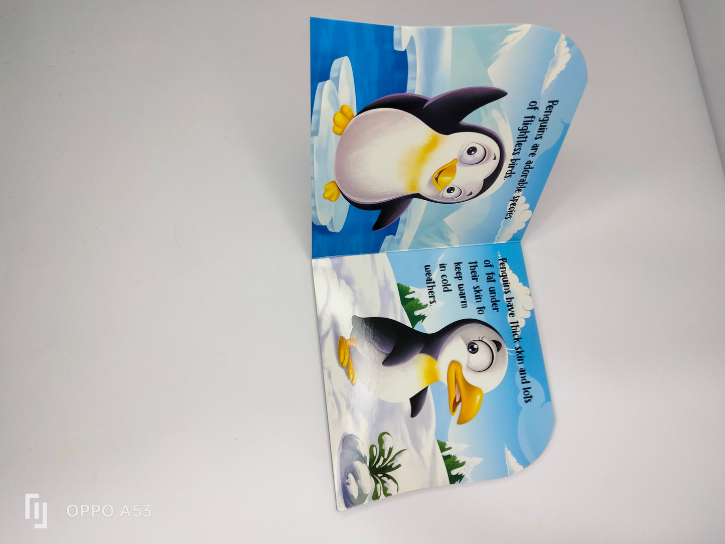 my First sheapd books penguin