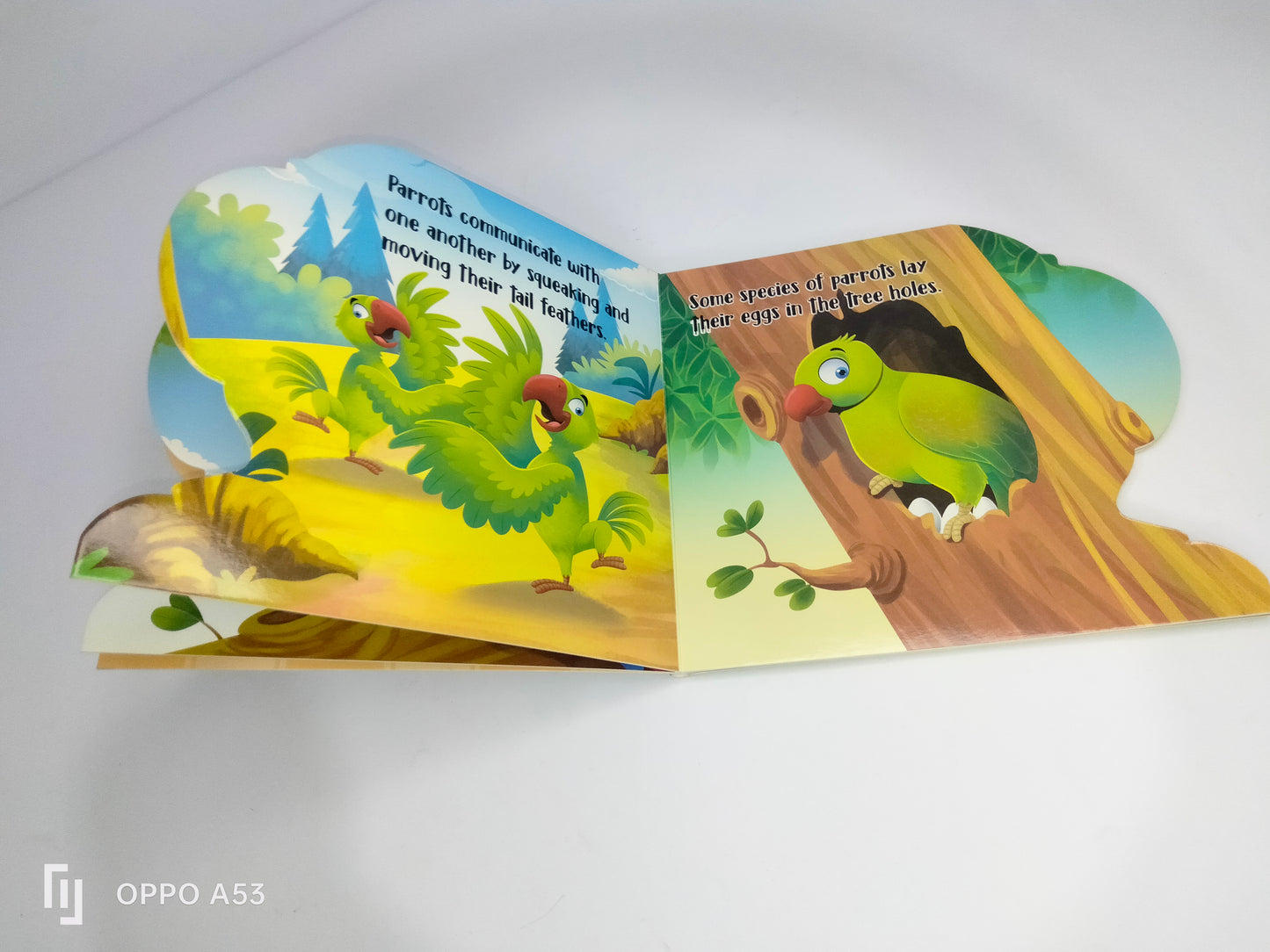 my First sheapd books parrot