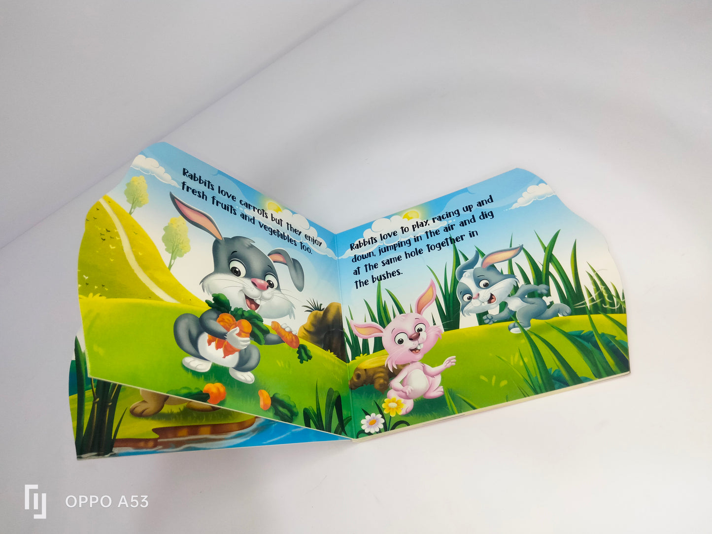 my First sheapd books rabbit