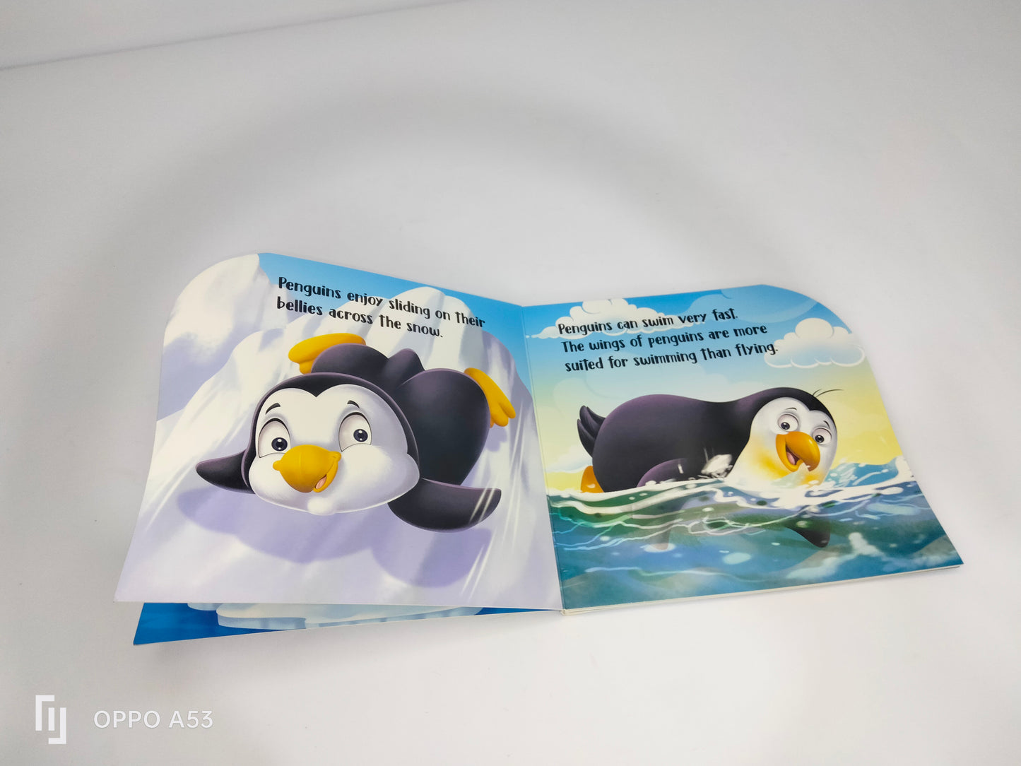 my First sheapd books penguin