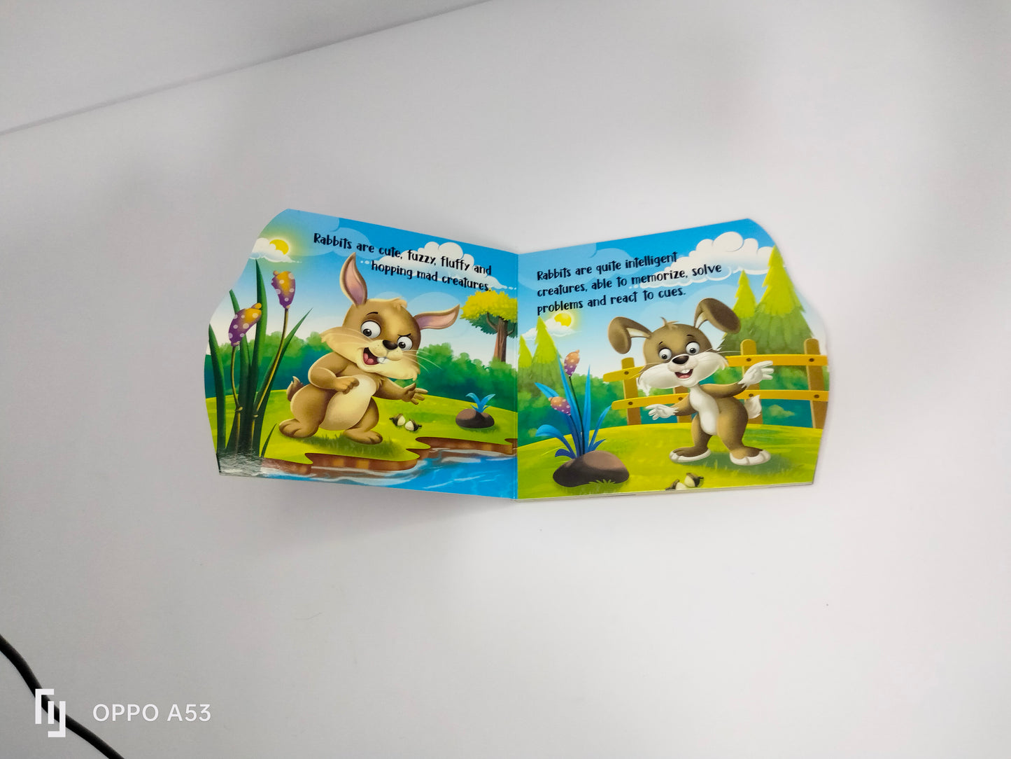 my First sheapd books rabbit