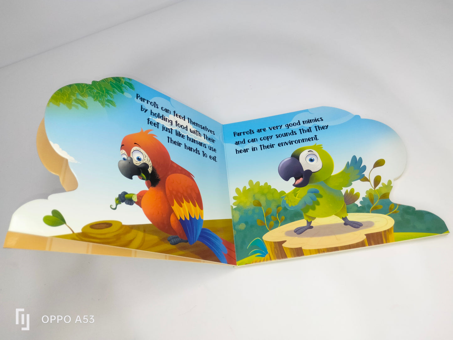 my First sheapd books parrot